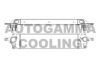 AUTOGAMMA 105557 Intercooler, charger